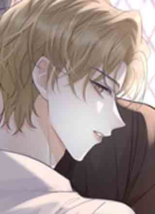 试探法则 截图1