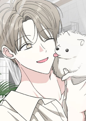 驯养猫系男友