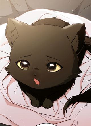 猫咪疗愈法 截图1