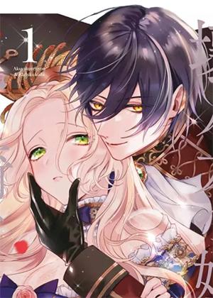 坏人大小姐与鬼畜骑士