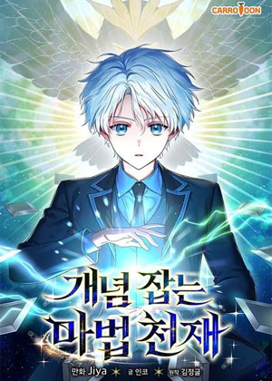 掌握概念的魔法天才