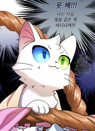 成为皇帝的猫 截图1